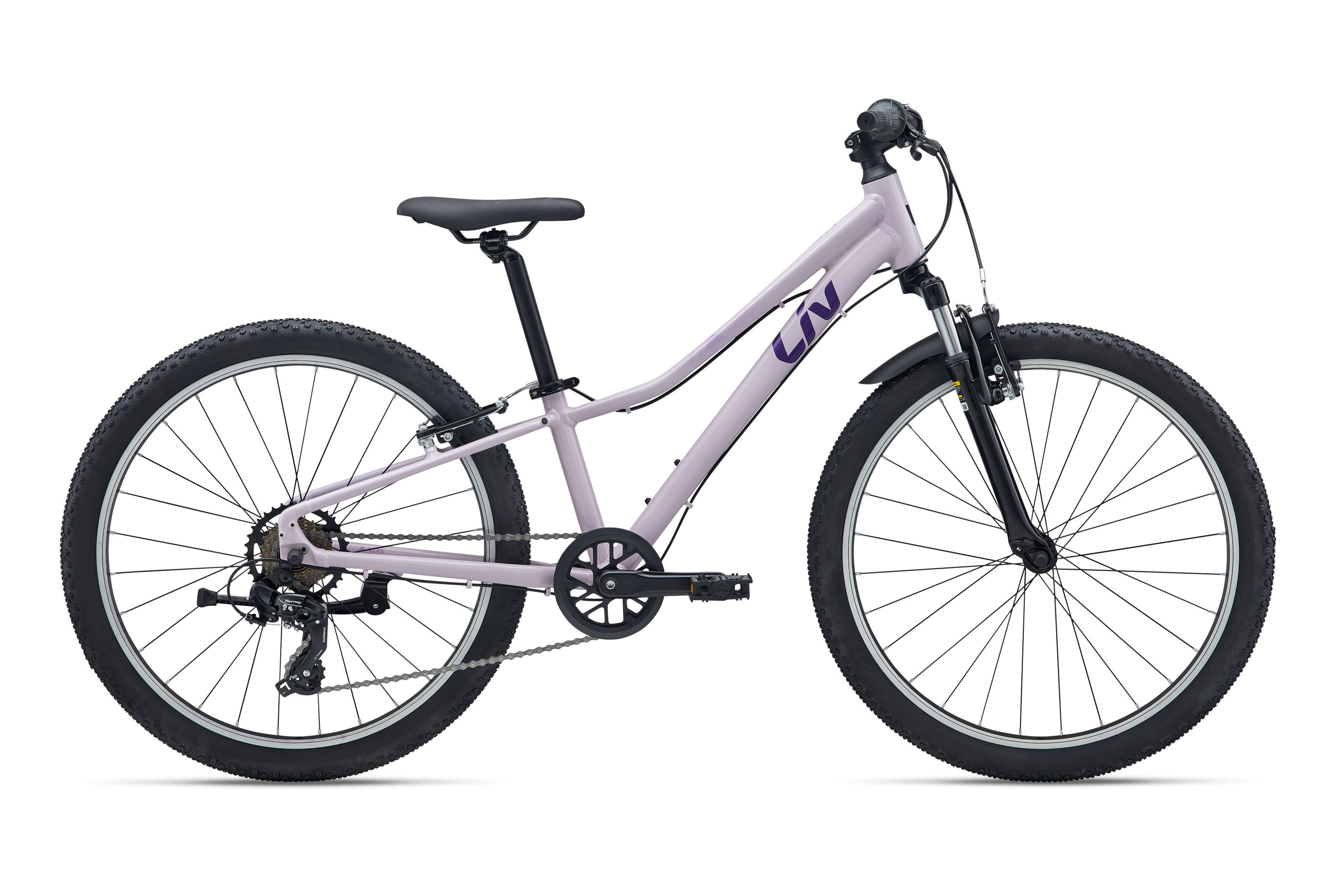 Giant Liv Purple Giant Mountain Bike USED Giant Liv Escape Hybrid