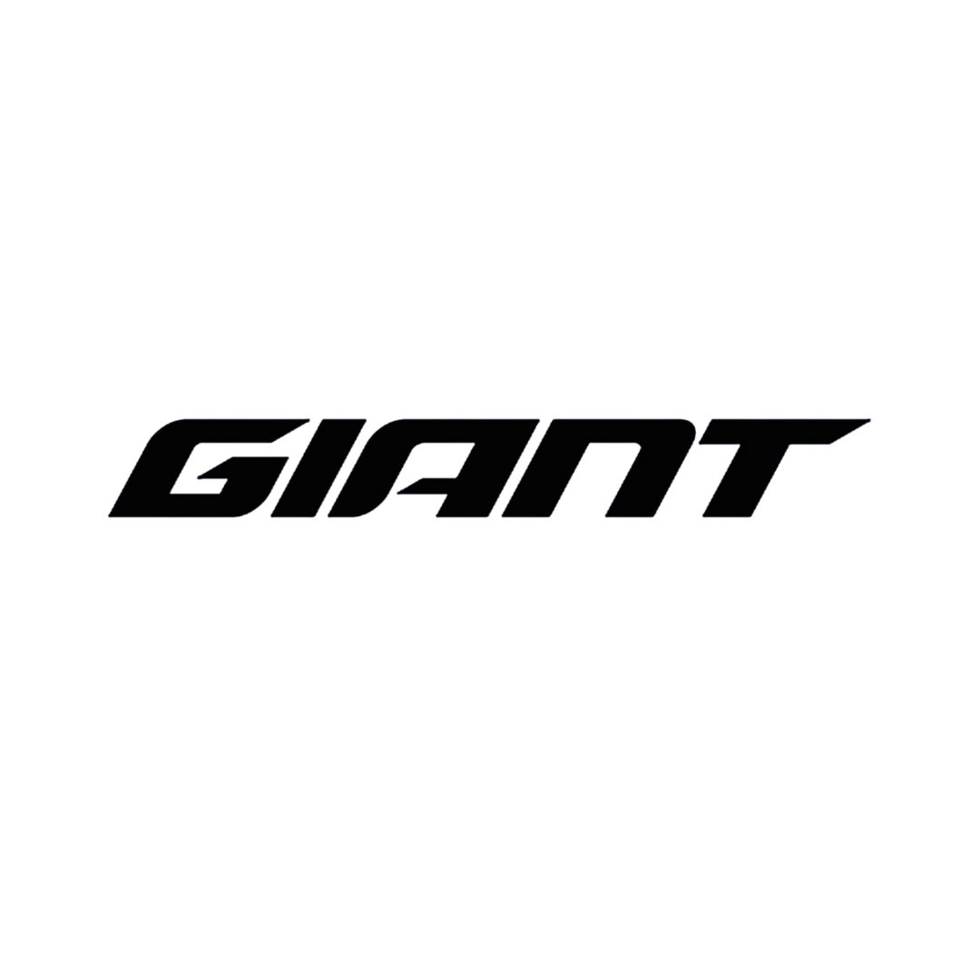 Giant Recon E Front Light - Cable Shimano