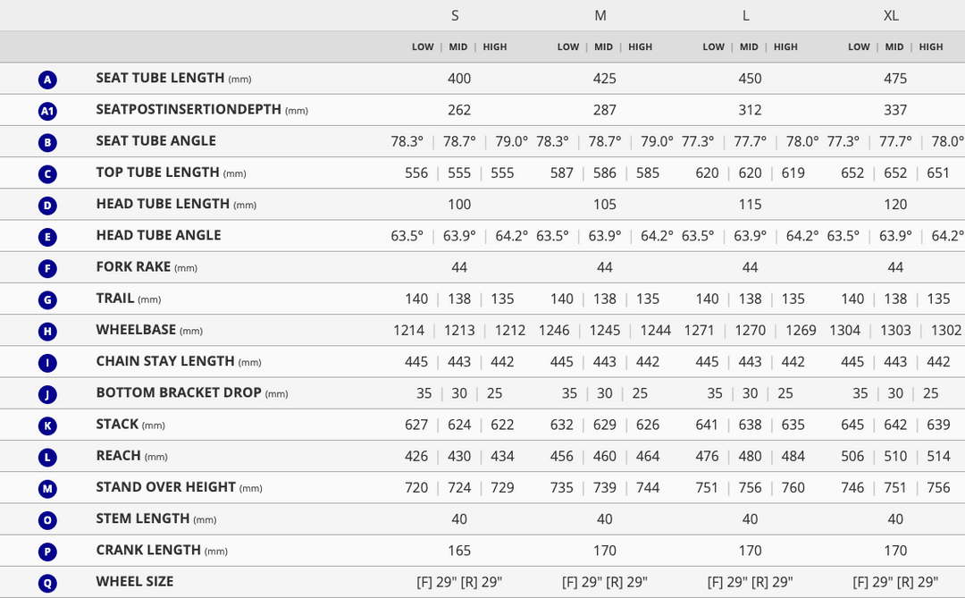 Giant reign size guide 2025