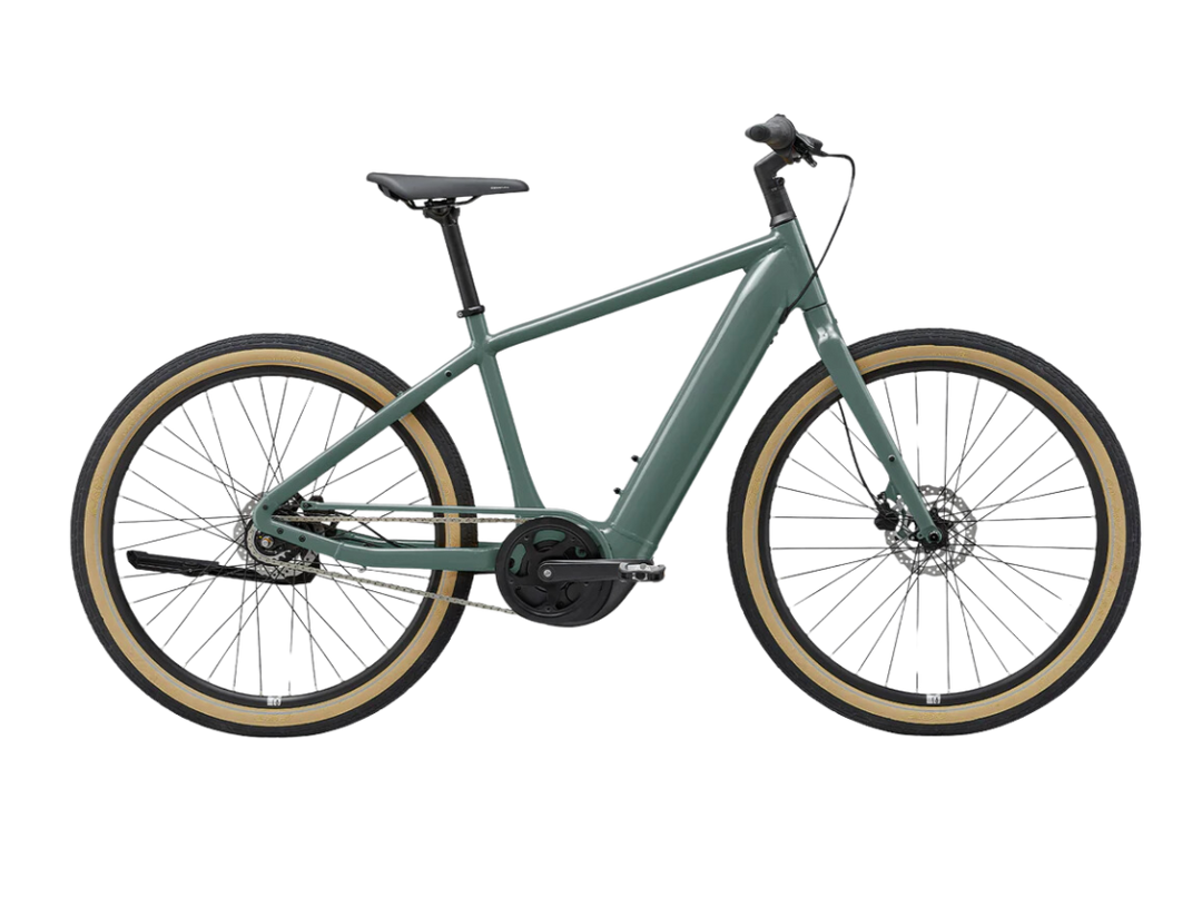 Giant bikes e bike sales