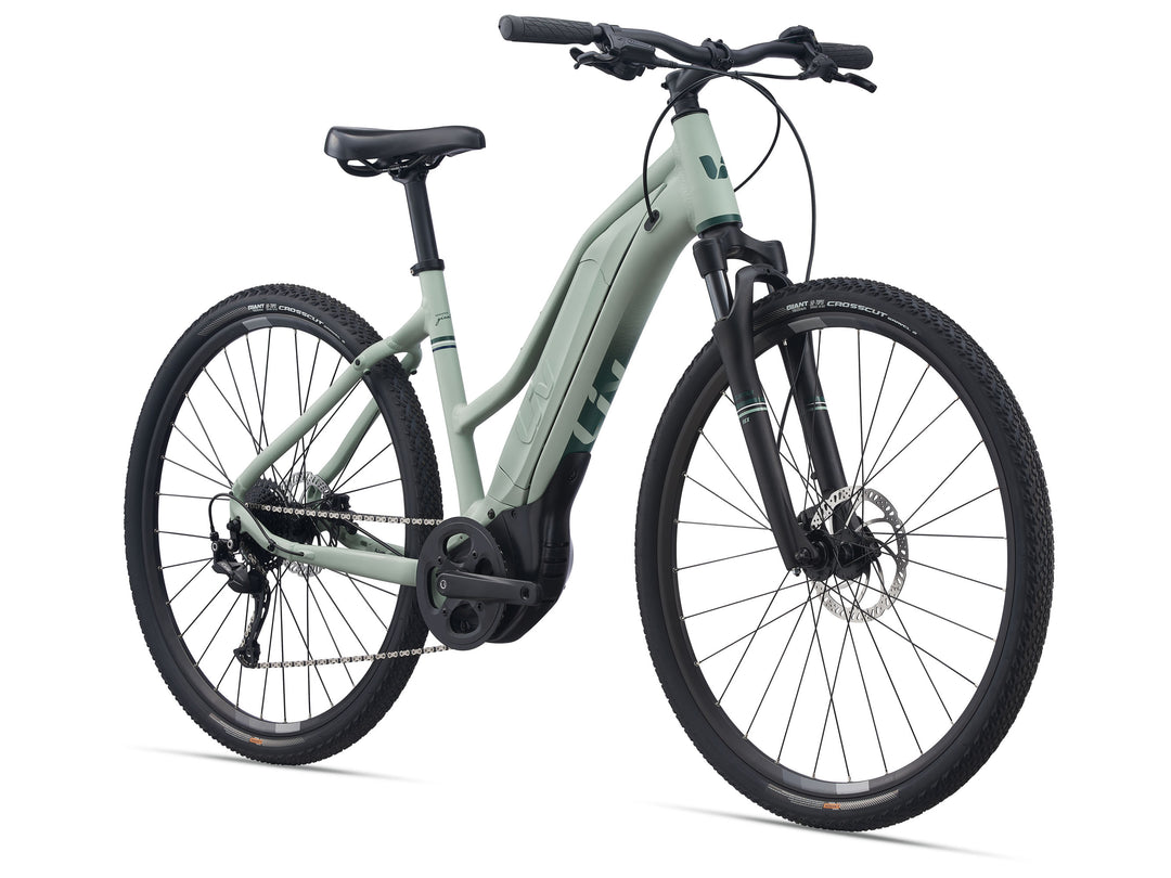 Giant Rove E+ 1 - Laurel