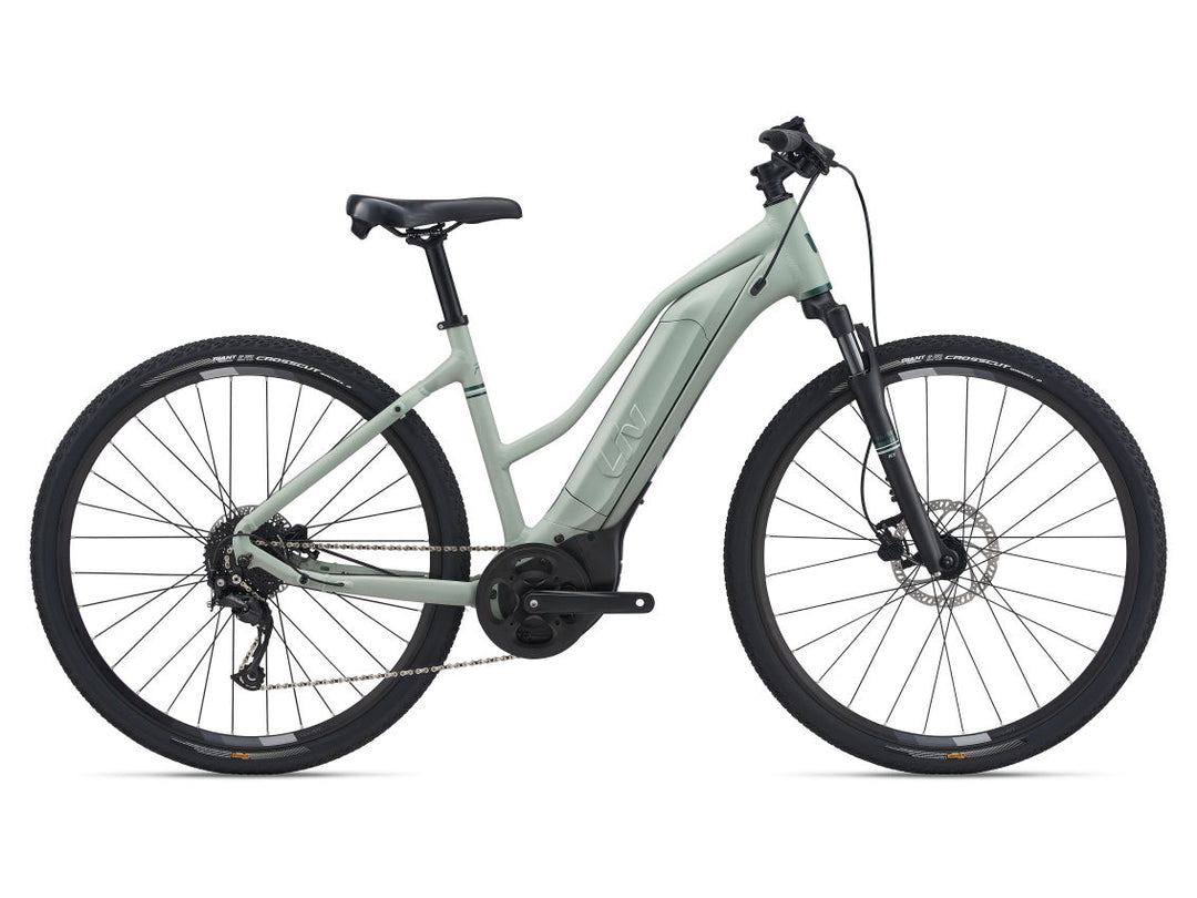 Giant Rove E+ 1 - Laurel