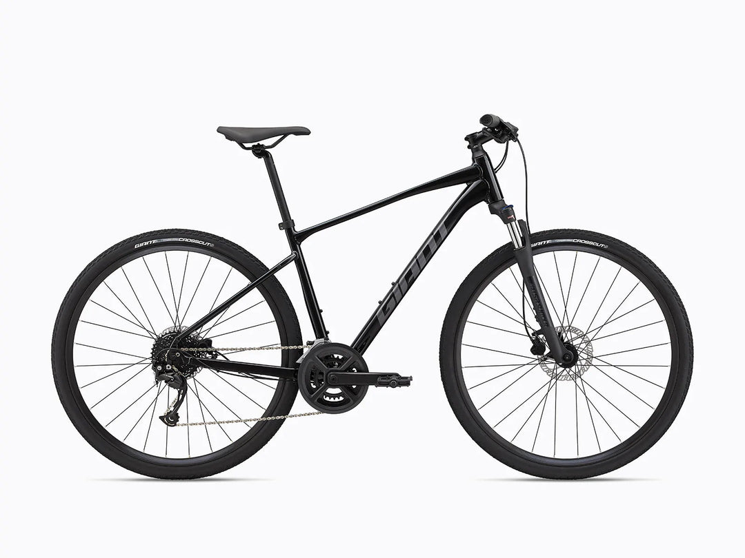 Giant Roam 2 Disc - Black