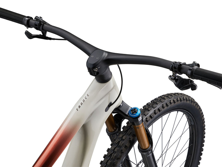 Giant Trance Advanced Pro 29 0 - Pulp Gray