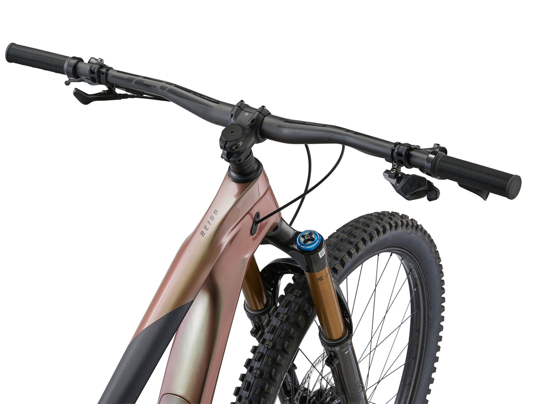 Giant Reign Advanced Pro 0 - Messier/Carbon