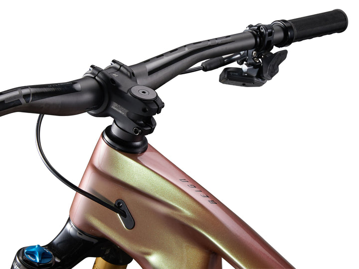 Giant Reign Advanced Pro 0 - Messier/Carbon