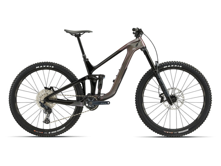Giant Reign Advanced Pro 2 - Orion Nebula