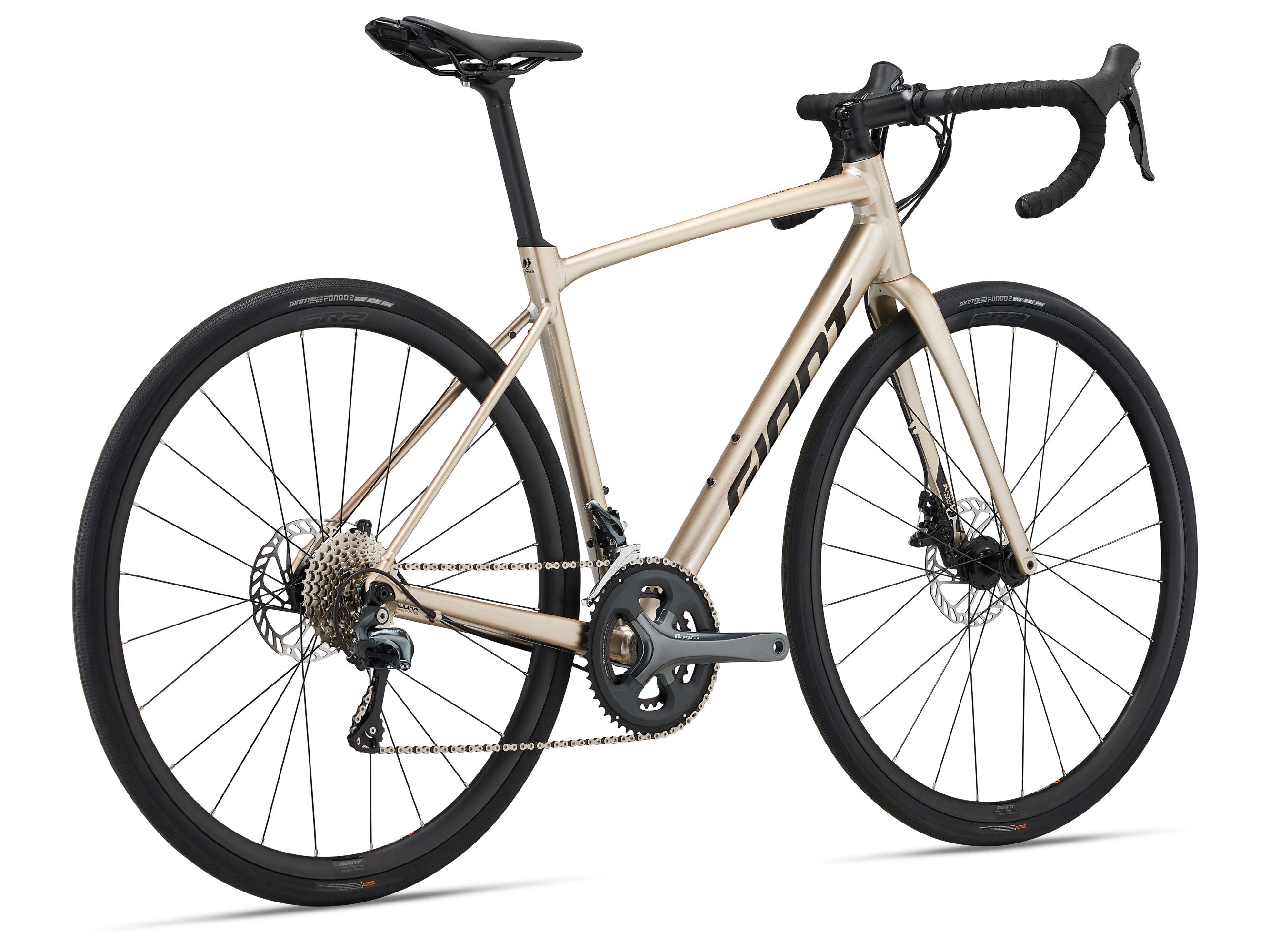 Giant Contend AR 2 - Sandshell – Giant Sydney