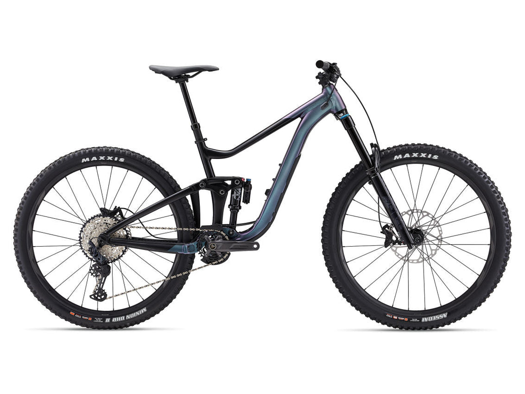 Giant Reign 1 - Blue Dragonfly/Black