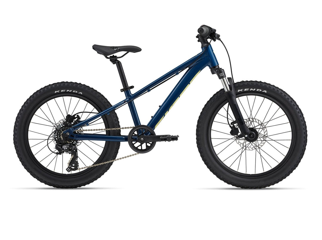 Giant Stp 20 FS - Blue Palace