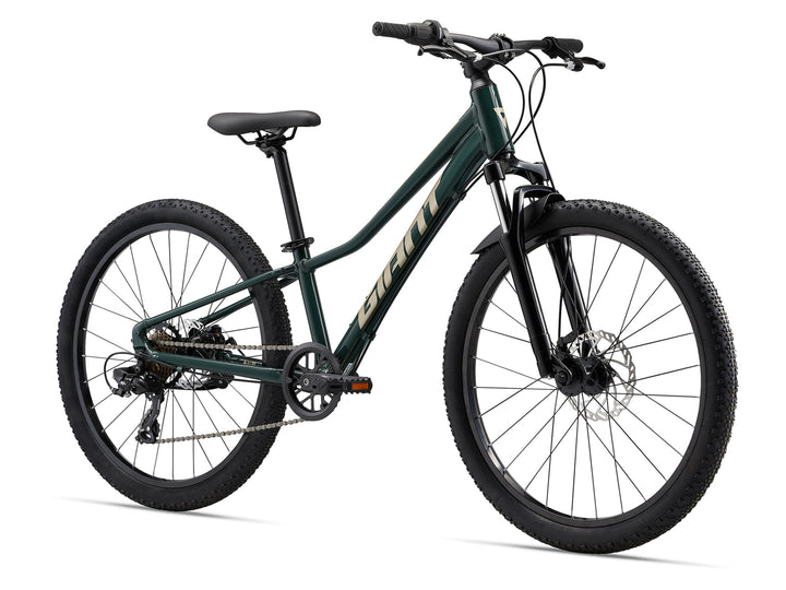 Talon 24 Disc Trekking Green
