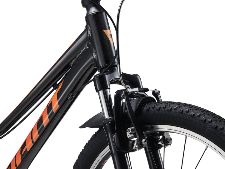 Giant Talon 24 One Size Panther (24)