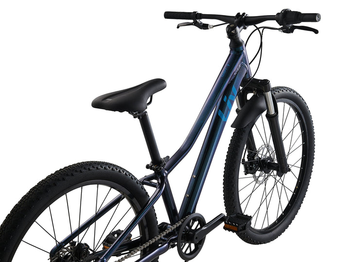 Liv Tempt 24 Disc One Size Starry Night (24)