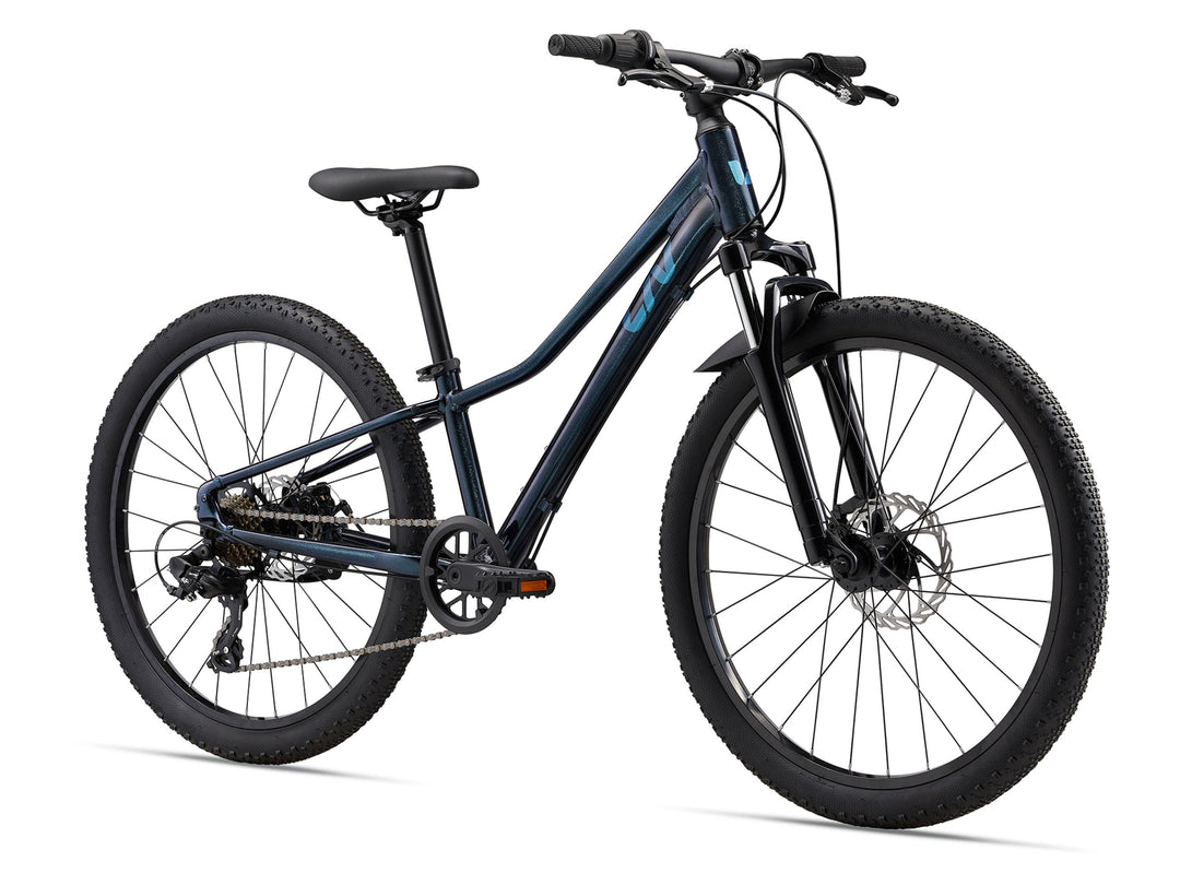 Liv Tempt 24 Disc One Size Starry Night (24)
