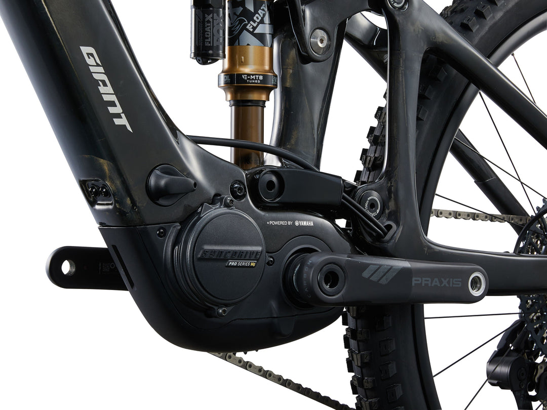 Giant Trance X Advanced E+ 1 - Raw Carbon