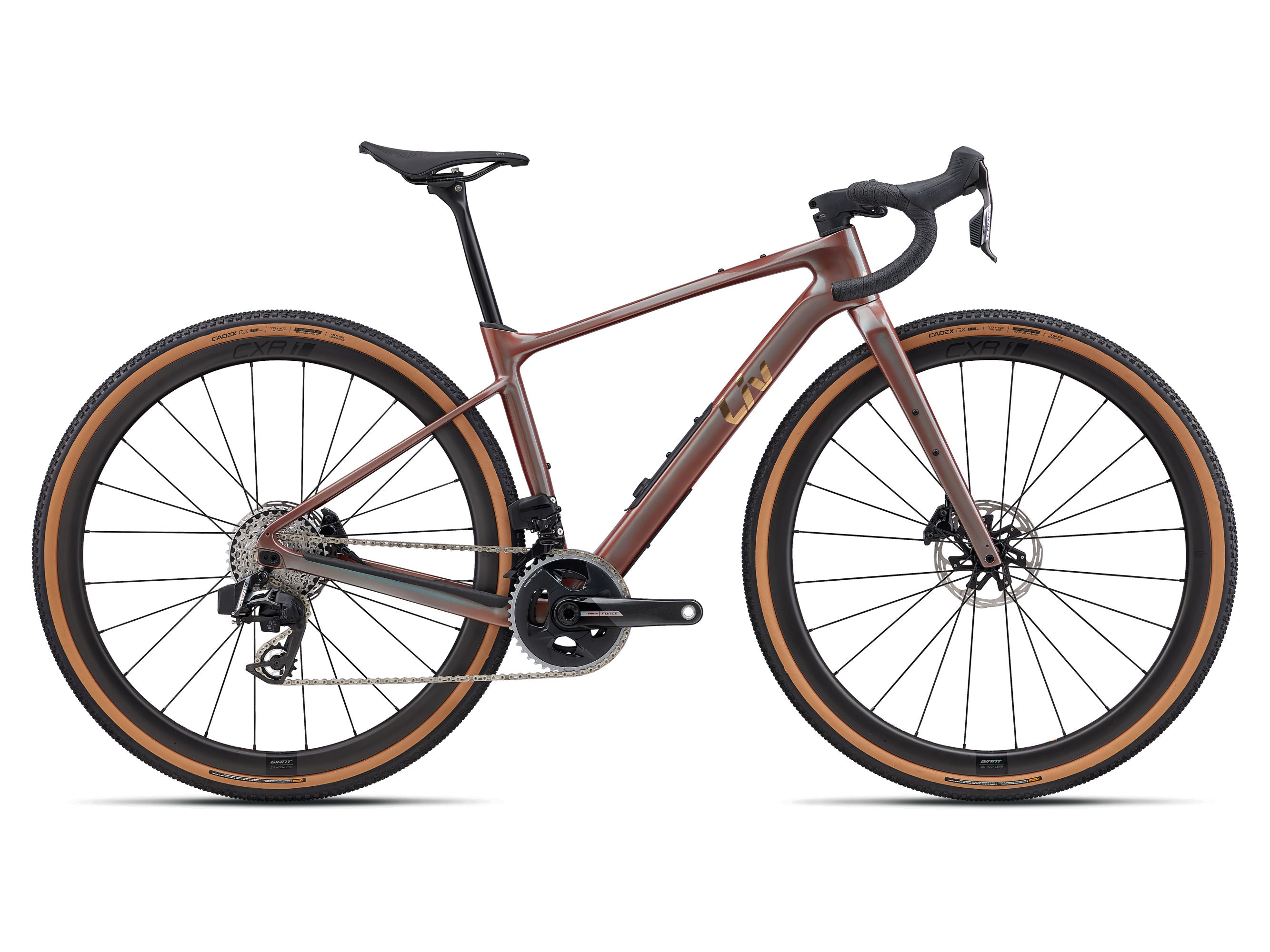 1 by gravel bike Giant Revolt 1