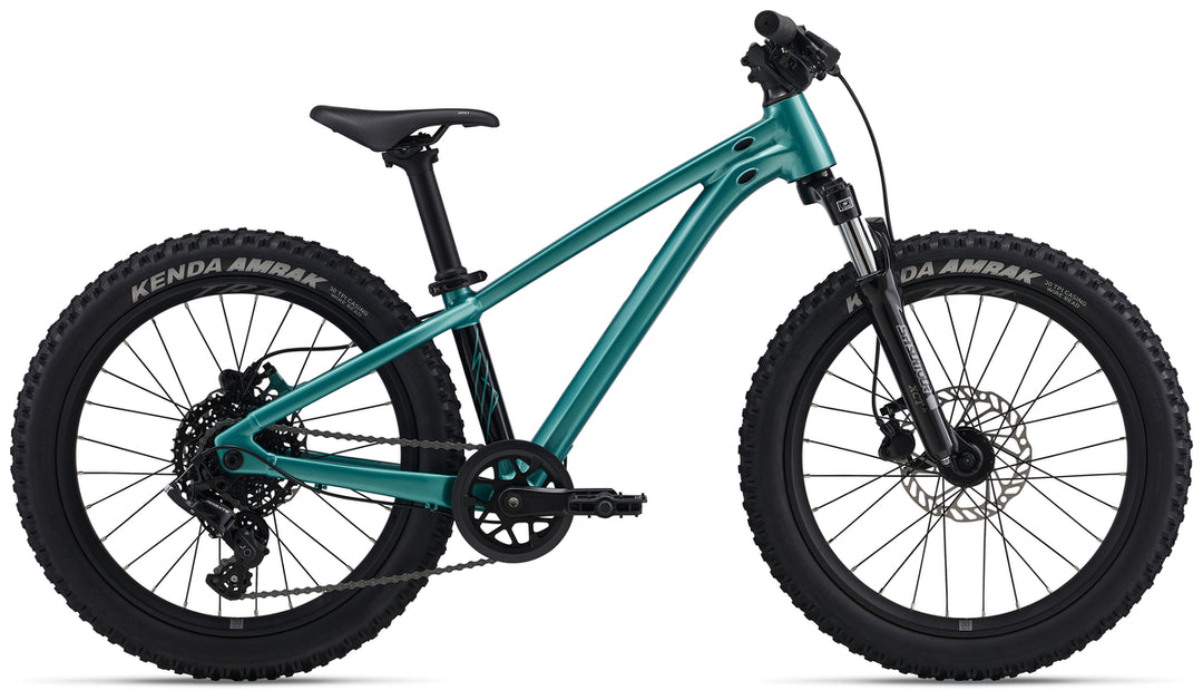 Giant STP 20 FS Mountain Bike - Teal