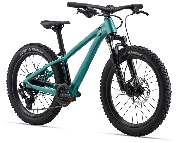 Giant STP 20 FS Mountain Bike - Teal
