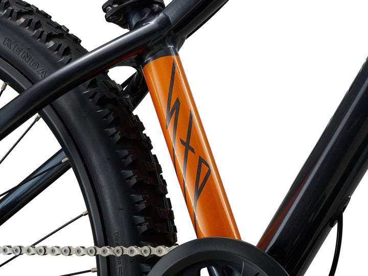 Giant STP 24 Mountain Bike - Black Chrome