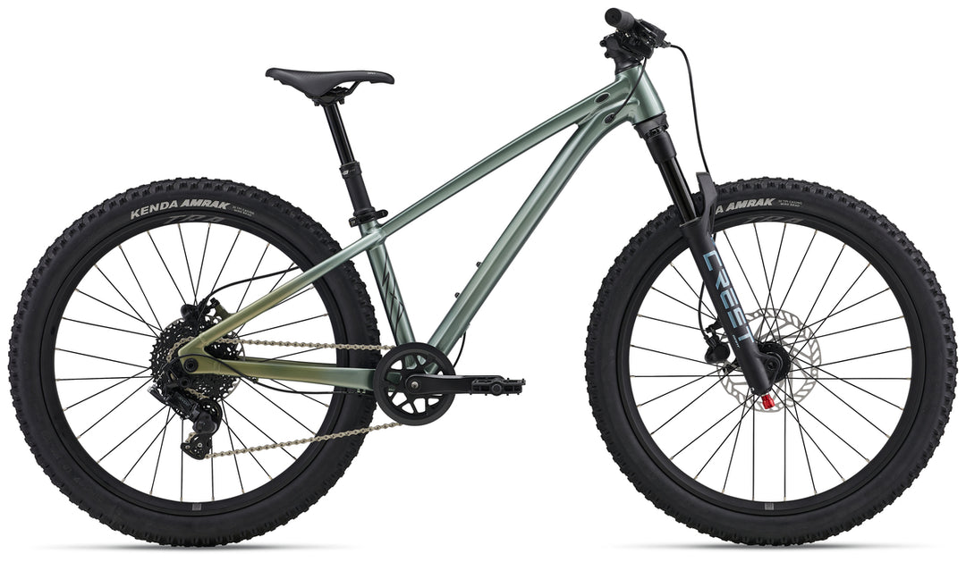 Liv STP 24 Mountain Bike - Alpine Green