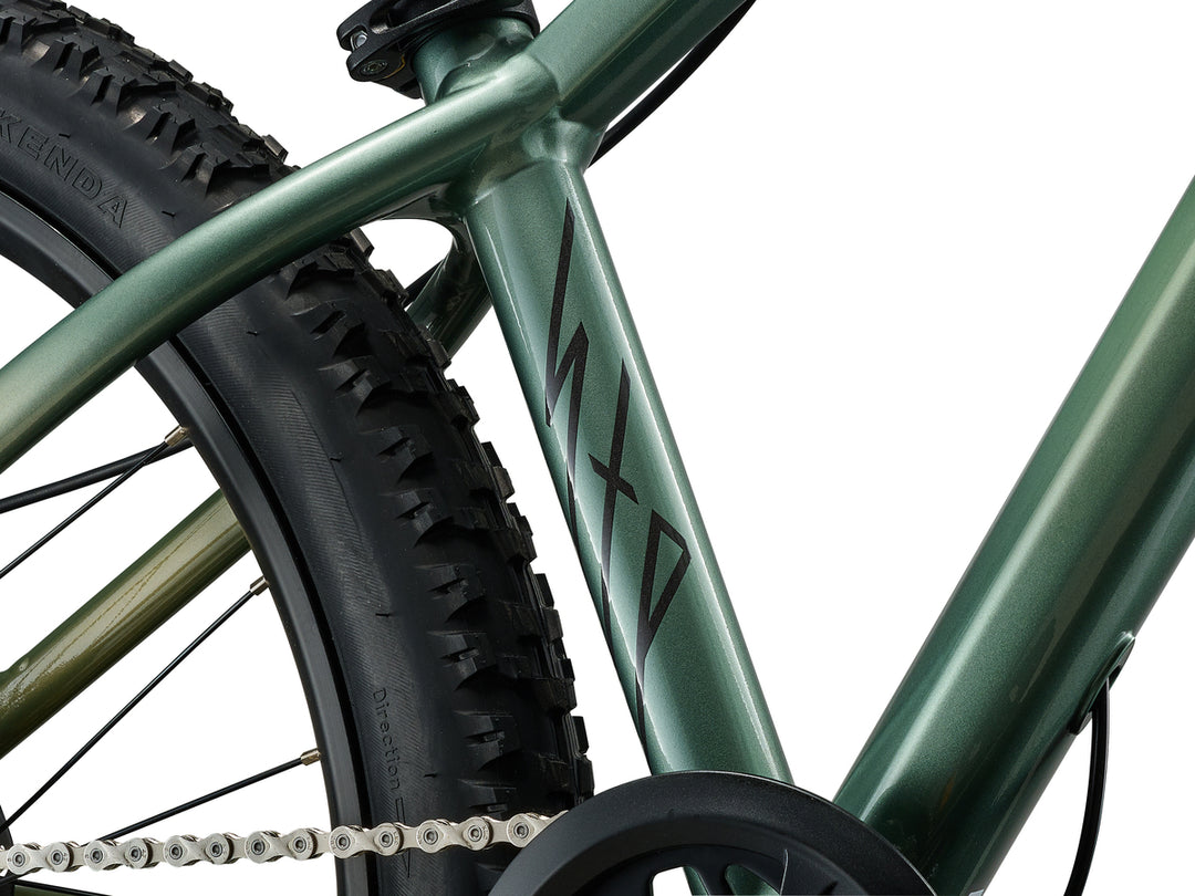 Liv STP 24 Mountain Bike - Alpine Green