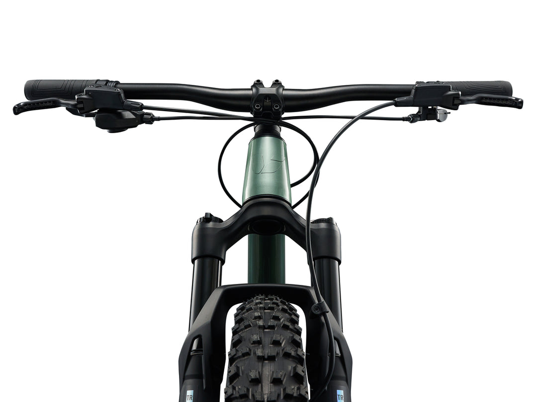Liv STP 24 Mountain Bike - Alpine Green