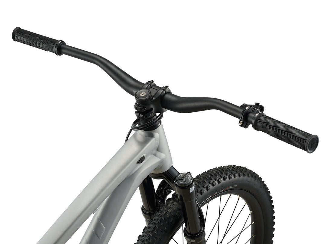 Giant STP 26 Mountain Bike - Quicksilver