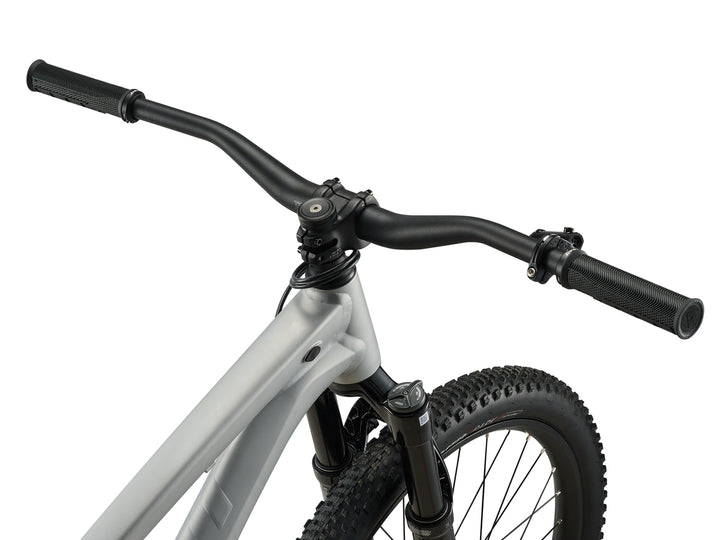 Giant STP 26 Mountain Bike - Quicksilver