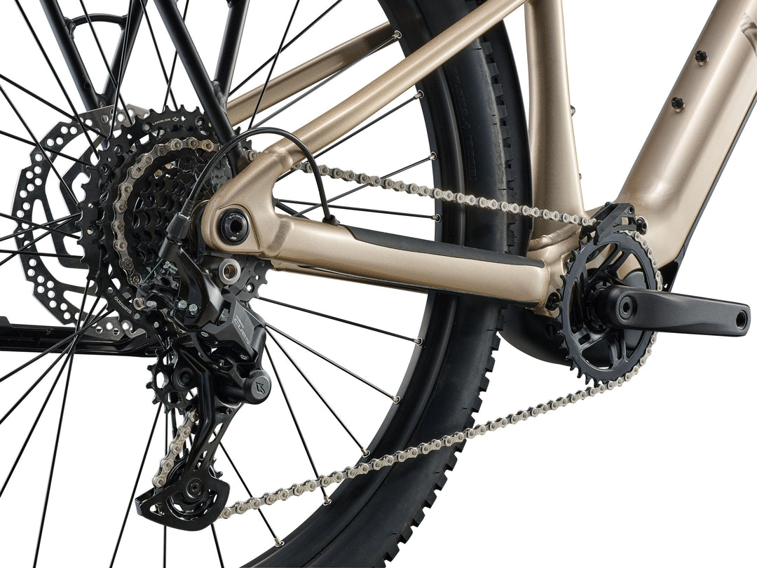 Liv Tempt E+ EX Ebike