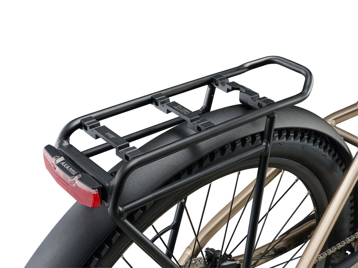 Liv Tempt E+ EX Ebike