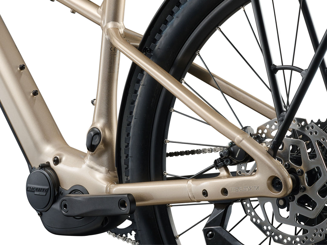 Liv Tempt E+ EX Ebike