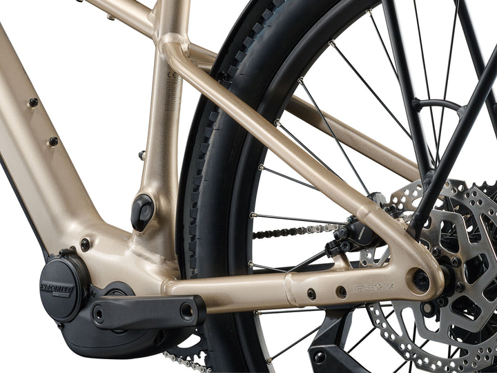 Liv Tempt E+ EX Ebike