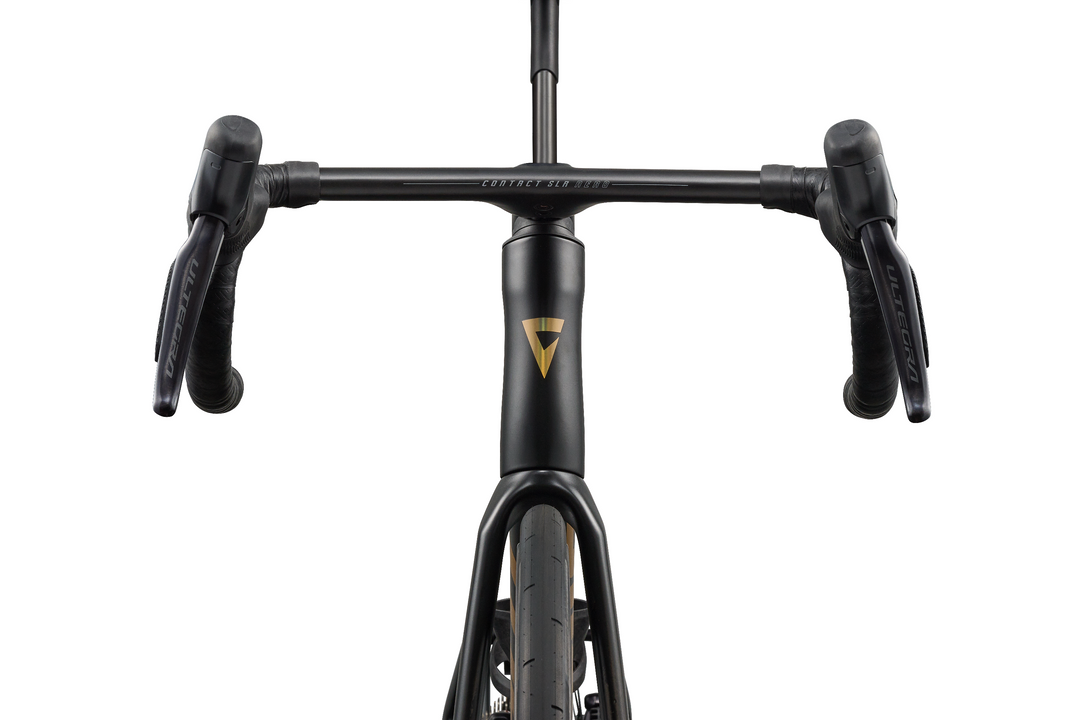 Giant Propel Advanced SL 1 Road Bike - Raw Carbon