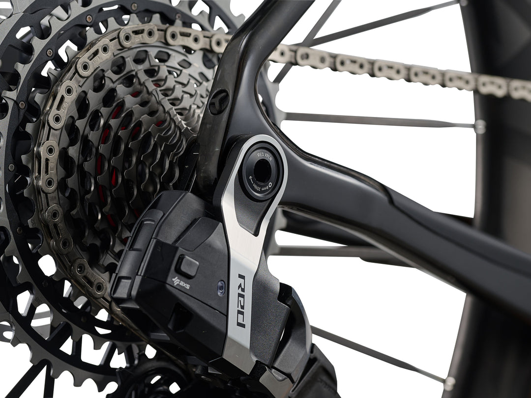 Giant Revolt Advanced SL 0 - RawCarbon/PrismPearl