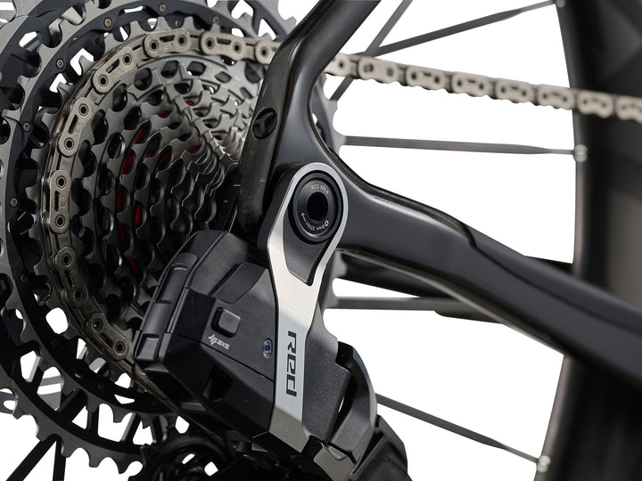 Giant Revolt Advanced SL 0 - RawCarbon/PrismPearl