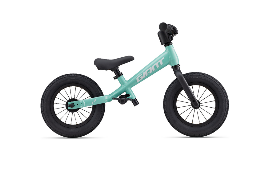 Giant Pre Ocean Wave Giant Sydney