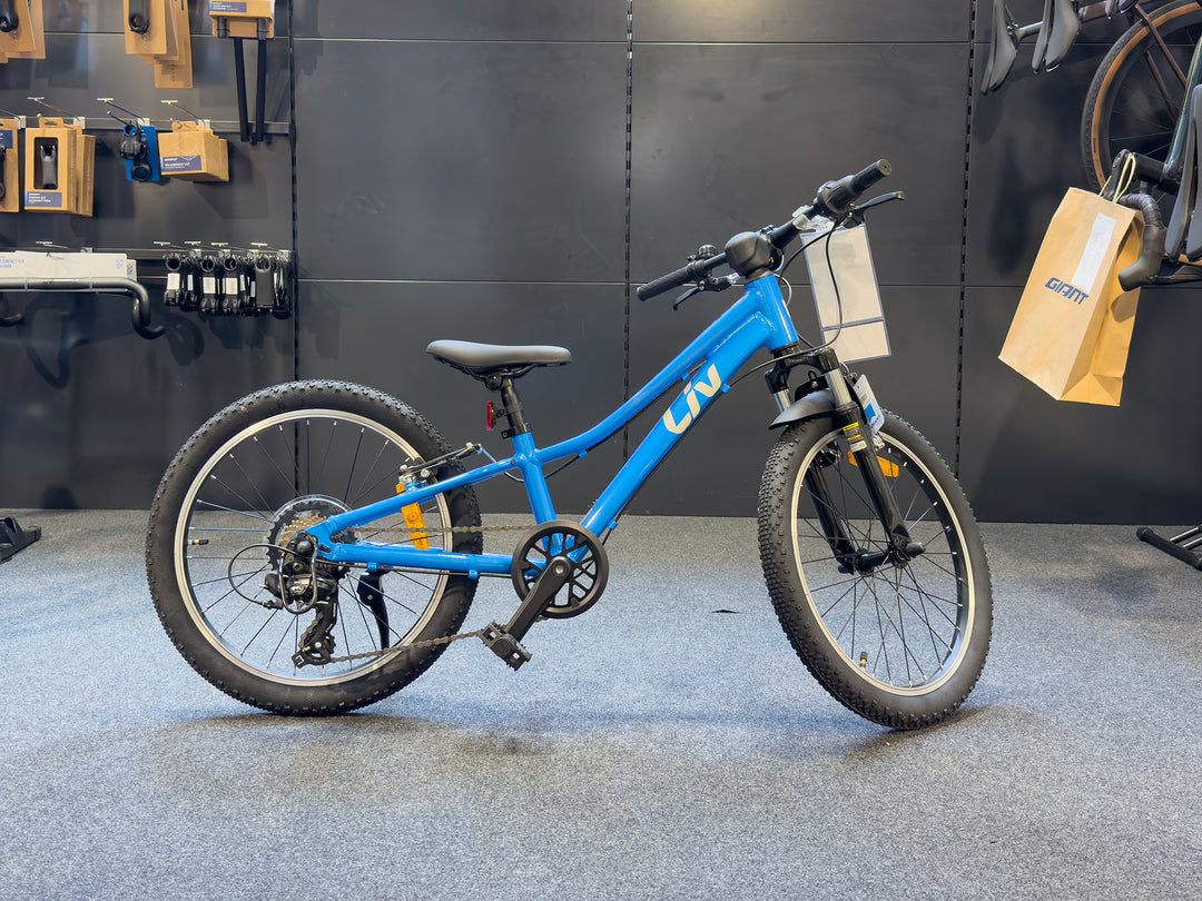 Mountain Bike Liv Blue Bike Liv Bliss Disc 26 Inch Womens 2020